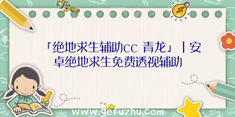 「绝地求生辅助cc